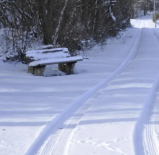 Seasons Bed & Breakfast *